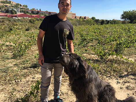 El mejor amigo de los bodegueros: seis perros y un gato