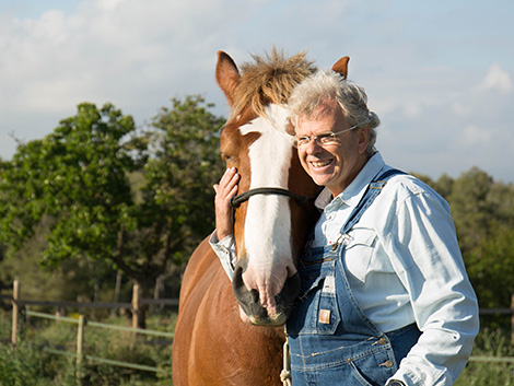 Caballos y otros animales que ayudan a los viticultores