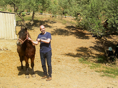 Caballos y otros animales que ayudan a los viticultores