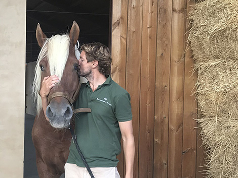 Caballos y otros animales que ayudan a los viticultores