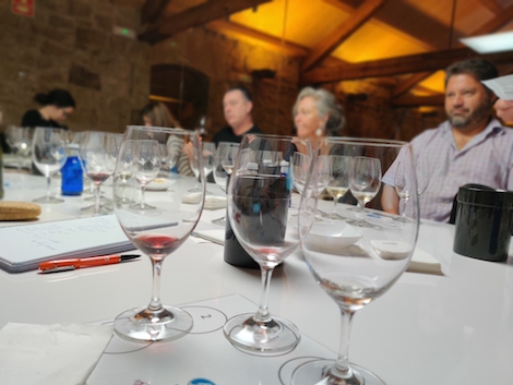 Una guía completa de los cursos WSET en España