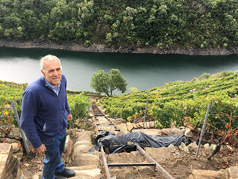 ¿Qué necesita Ribeira Sacra para convertirse en una gran zona vinícola? (I)