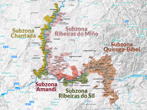 ¿Qué necesita Ribeira Sacra para convertirse en una gran zona vinícola? (I)