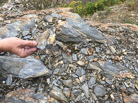 ¿Qué necesita Ribeira Sacra para convertirse en una gran zona vinícola? (y II)