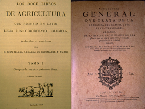 ¿Cómo incidirán las enfermedades de la vid en el mapa varietal de España?