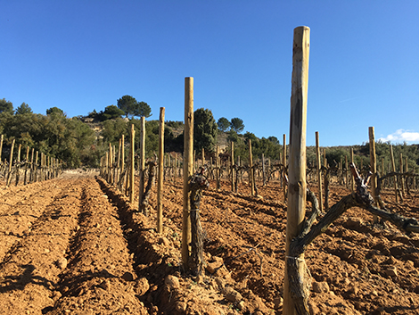 Ramón Bilbao irrumpe en el segmento top de Rioja con Lalomba