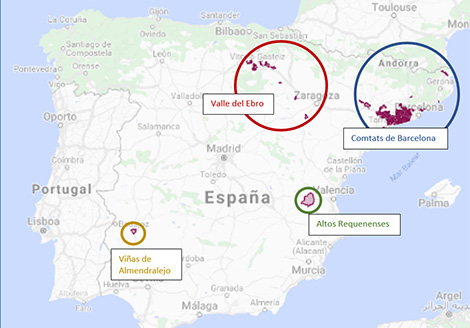 “Mientras el cava tenga sobreoferta de uva, será difícil levantar la categoría”