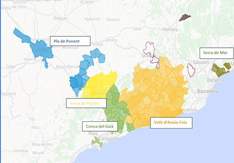 “Mientras el cava tenga sobreoferta de uva, será difícil levantar la categoría”