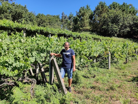 Fulcro: nuevos vinos que enriquecen la diversidad de Rías Baixas 