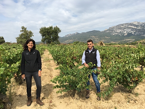 Ribera del Duero pone la vista en Rioja