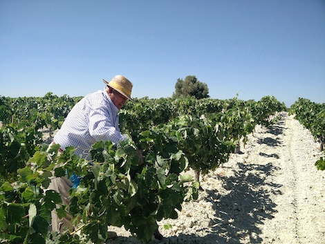 Una guía para sherrylovers a través de nuestro archivo