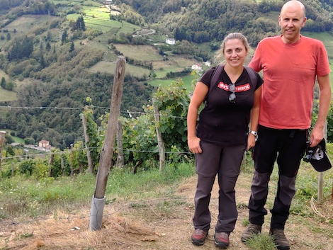 Las Siete Vidas de los vinos de Asturias