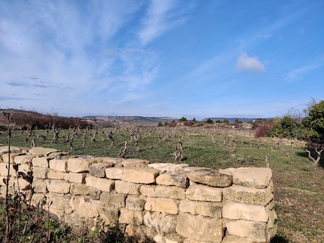 Amaren: El legado de una familia y la búsqueda de los vinos con verdad