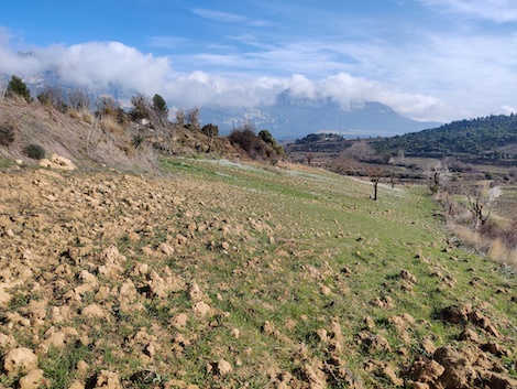 Amaren: El legado de una familia y la búsqueda de los vinos con verdad