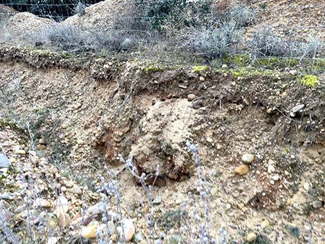 Dominio de Atauta: en el valle de las viñas centenarias