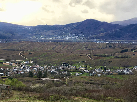 César Márquez: escribiendo el futuro del Bierzo