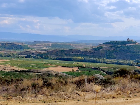 Volumen o valor: el órdago de más de 200 pequeñas bodegas de Rioja