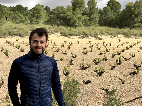 Bodegas Cerrón, la nueva Jumilla que explora el terruño