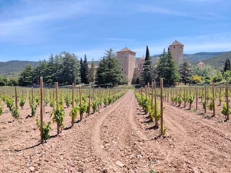 Conca de Barberà: monasterios, bodegas modernistas y trepat