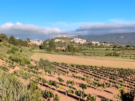 Conca de Barberà: monasterios, bodegas modernistas y trepat