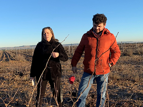 Pagos de Villavendimia defiende el vaso en sus viñas de La Seca 