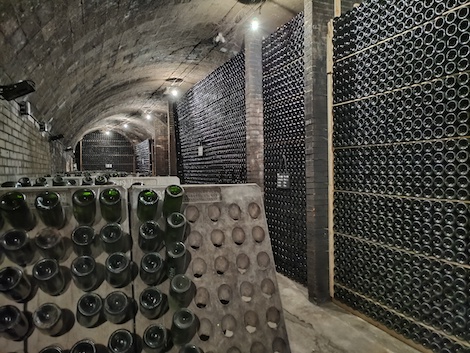 Mestres: la bodega de las largas crianzas que siempre creyó en el cava