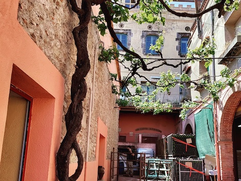 Mestres: la bodega de las largas crianzas que siempre creyó en el cava