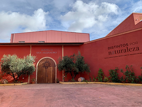 Bodegas San Alejandro: una cooperativa modélica en Calatayud