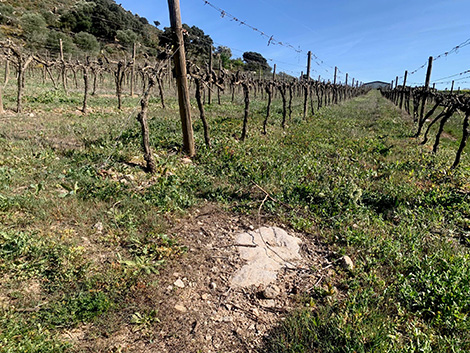 Victoria Ordóñez y la voluntad de hacer revivir los Montes de Málaga