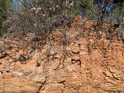 Victoria Ordóñez y la voluntad de hacer revivir los Montes de Málaga