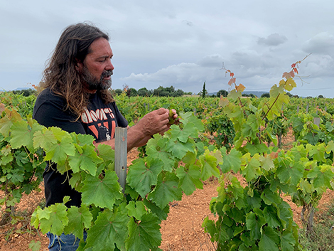 Pep Rodríguez, de Soca-Rel: retrato de un vigneron mallorquín