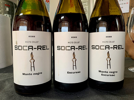 Pep Rodríguez, de Soca-Rel: retrato de un vigneron mallorquín