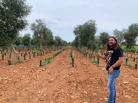 Pep Rodríguez, de Soca-Rel: retrato de un vigneron mallorquín