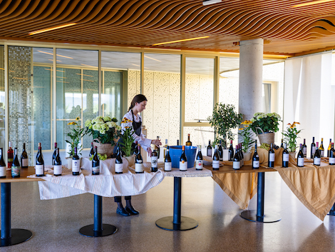 Los productores jóvenes de vino toman la palabra