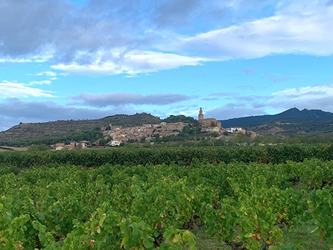 Aseginoloza & Leunda: garnachas evocadoras que nacieron como hobby