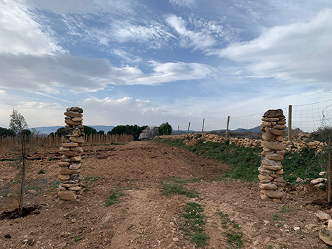 Vinos en Voz Baja busca la esencia de Rioja Oriental 