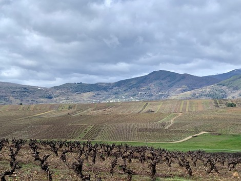 José Antonio García: así es una pequeña bodega familiar del Bierzo