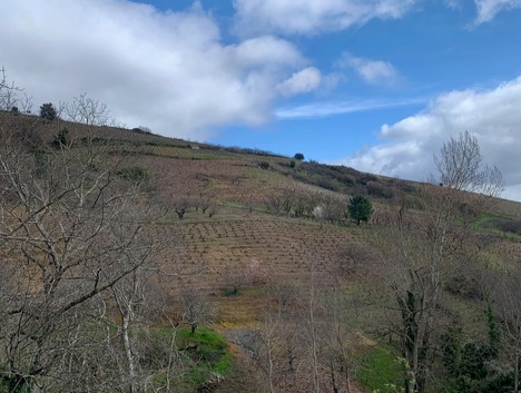 José Antonio García: así es una pequeña bodega familiar del Bierzo