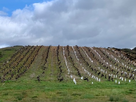 José Antonio García: así es una pequeña bodega familiar del Bierzo