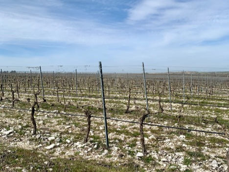 Félix Callejo, la evolución hacia una visión más terruñista de la Ribera del Duero