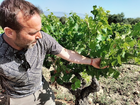 Los vinos de Víctor Ausejo destapan el potencial del valle del Iregua en Rioja