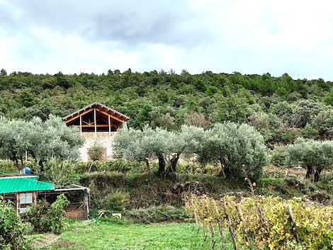 Jorge Olivera: un espíritu libre del vino junto a los Pirineos