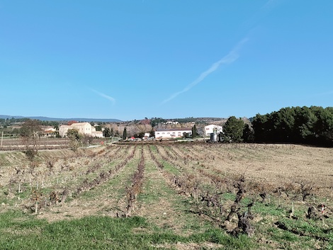 Parés Baltà en el Penedès apuesta por lo local para ser más internacional