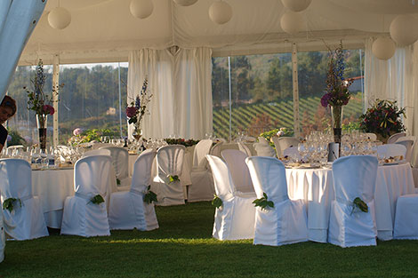 Bodas entre barricas