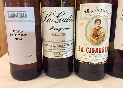 Tesoros del sur (I): manzanilla