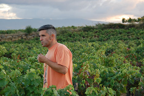 Rioja: así son los nuevos elaboradores (y II)