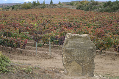 Viñedos de Páganos