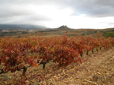 Viñedos Sierra Cantabria