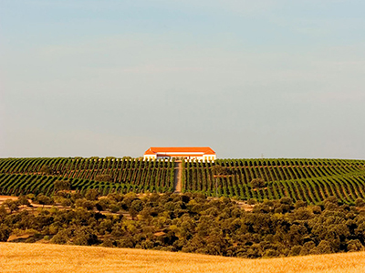 Palacio Quemado