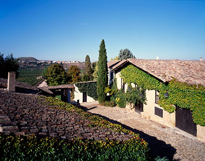 Viñedos del Contino 